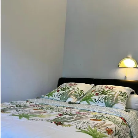 Belle Chez Zoa منزل للإقامة نْوازييل