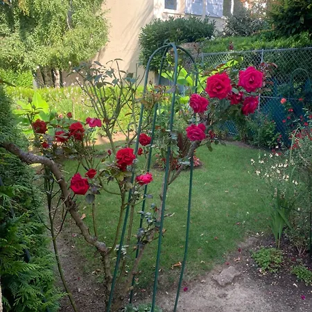 Belle Chez Zoa منزل للإقامة نْوازييل