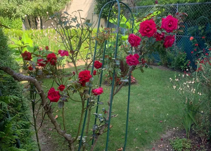 Belle Chez Zoa Homestay Noisiel